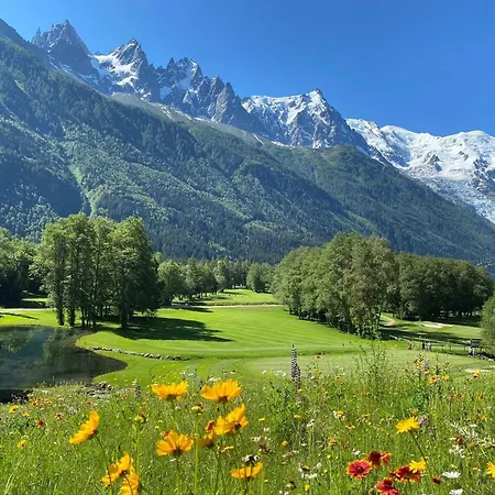Clos Des Vorgeats - Duplex Beside Golf Course - Patio - Utmb Chamonix Mont Blanc